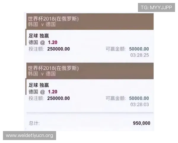 专业版世界杯买球tutorial全面介绍不同平台的投注流程与安全保障措施